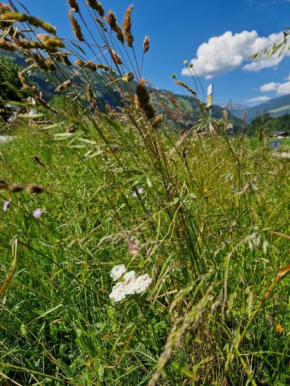 Chalet Johanna Ramsau Im Zillertal